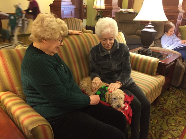 Pet Visits at Lilydale Senior Living